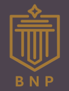 bnpindo.com